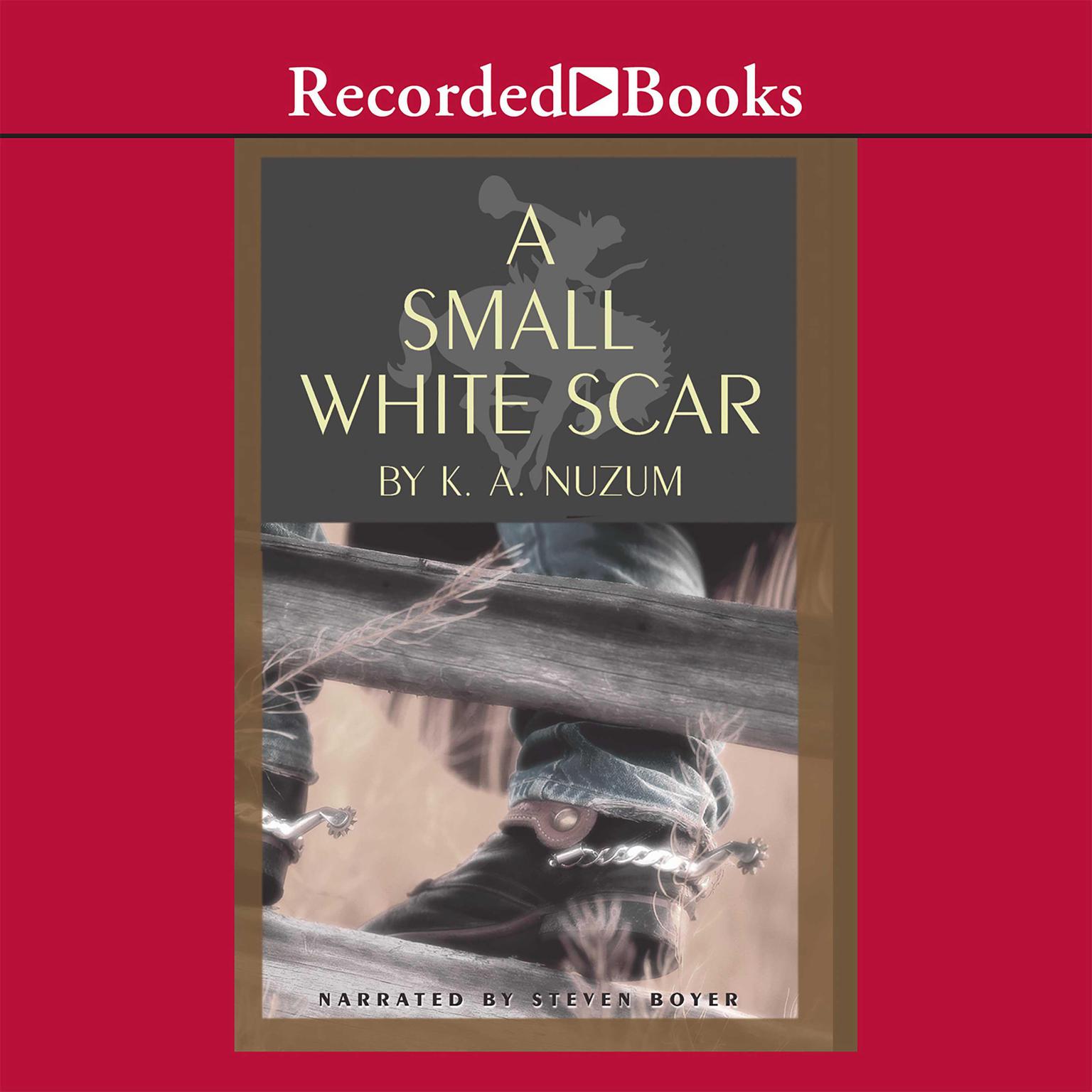 A Small White Scar Audiobook, by K. A. Nuzum