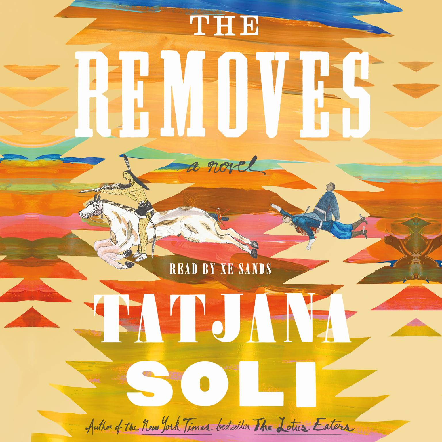 The Removes: A Novel Audiobook, by Tatjana Soli