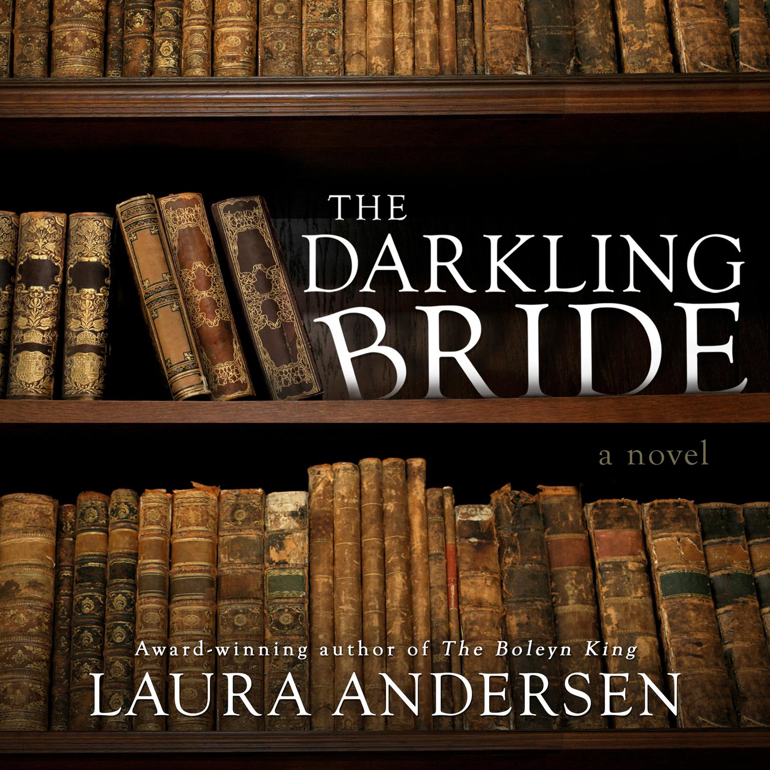 The Darkling Bride: A Novel Audiobook, by Laura Andersen