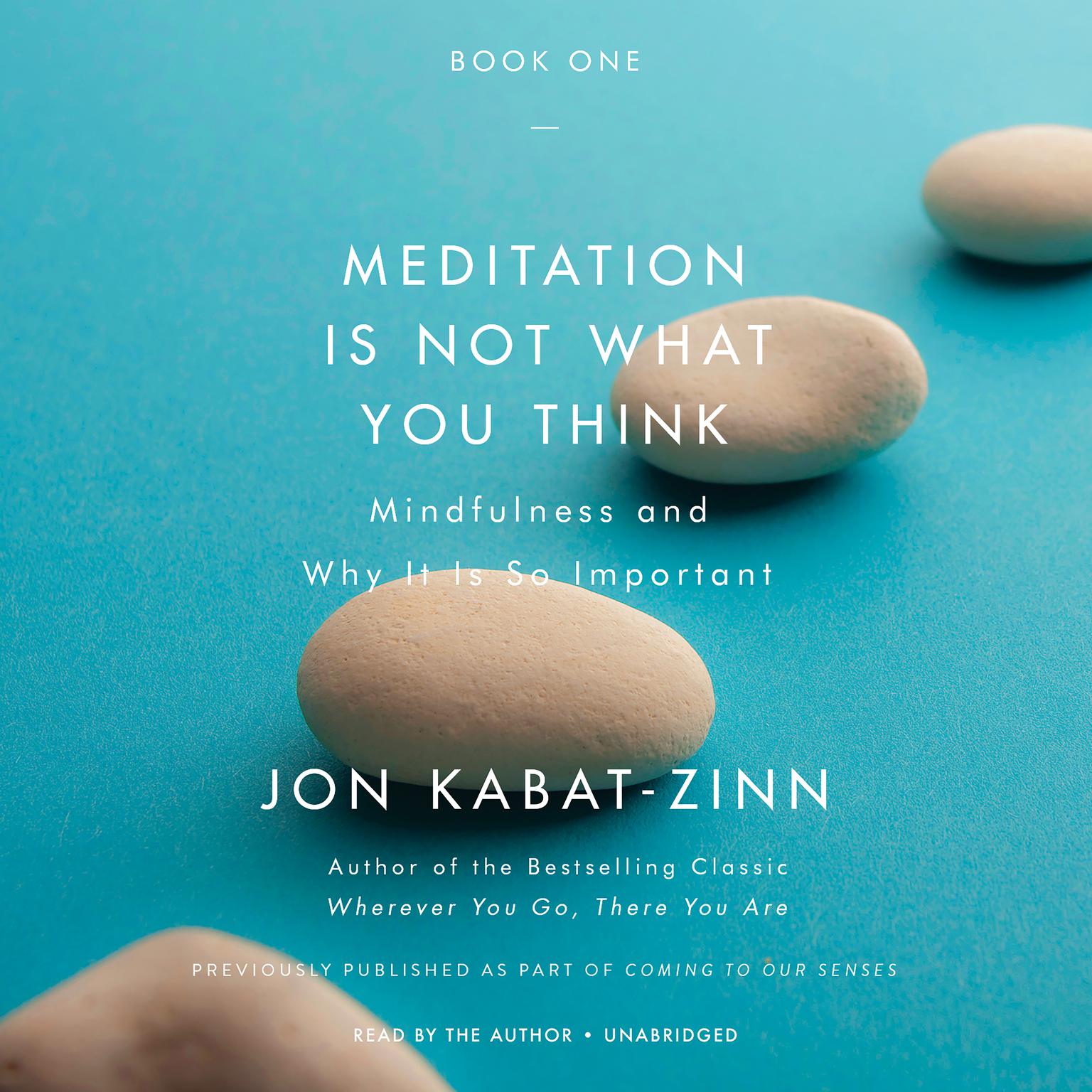 Meditation Is Not What You Think: Mindfulness and Why It Is So Important Audiobook, by Jon Kabat-Zinn