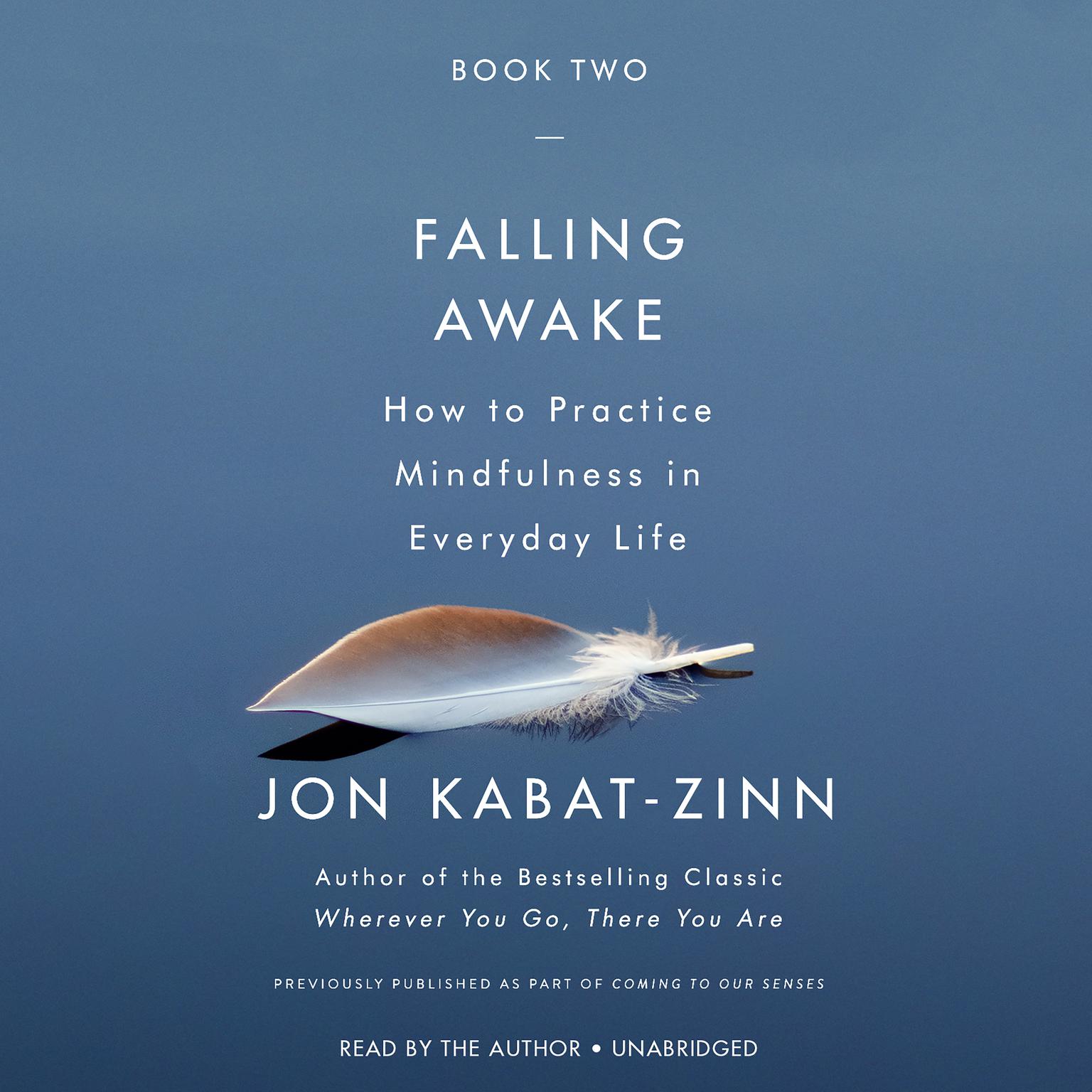 Falling Awake: How to Practice Mindfulness in Everyday Life Audiobook, by Jon Kabat-Zinn
