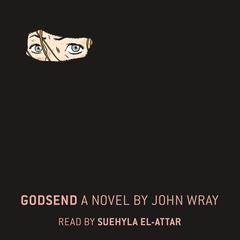Godsend: A Novel Audiobook, by John Wray