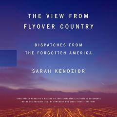 The View from Flyover Country: Dispatches from the Forgotten America Audiobook, by Sarah Kendzior