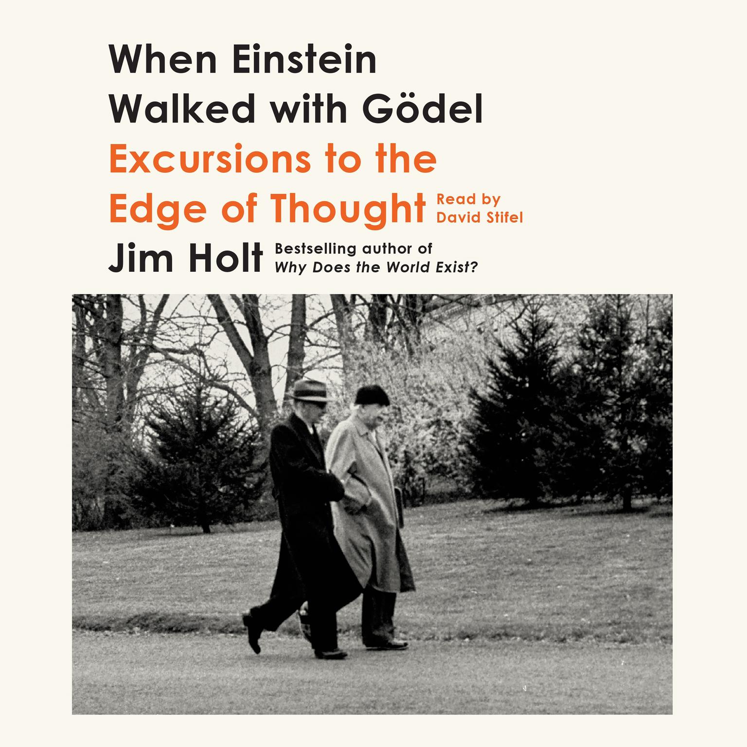 When Einstein Walked with Gödel: Excursions to the Edge of Thought Audiobook, by Jim Holt