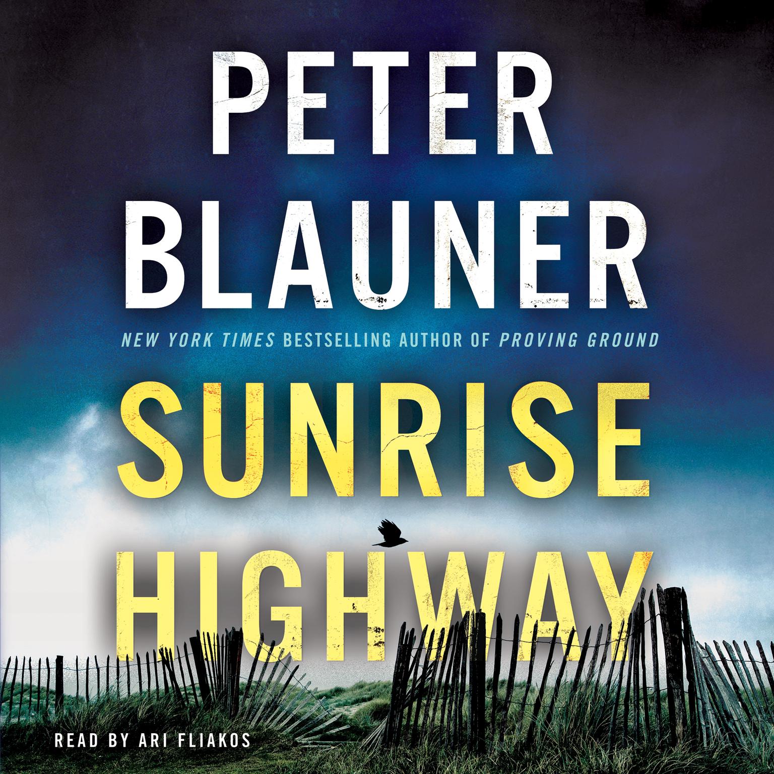 Sunrise Highway Audiobook, by Peter Blauner