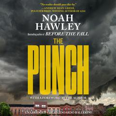 The Punch Audiobook, by Noah Hawley