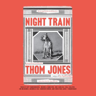 Night Train: New and Selected Stories Audiobook, by Thom Jones