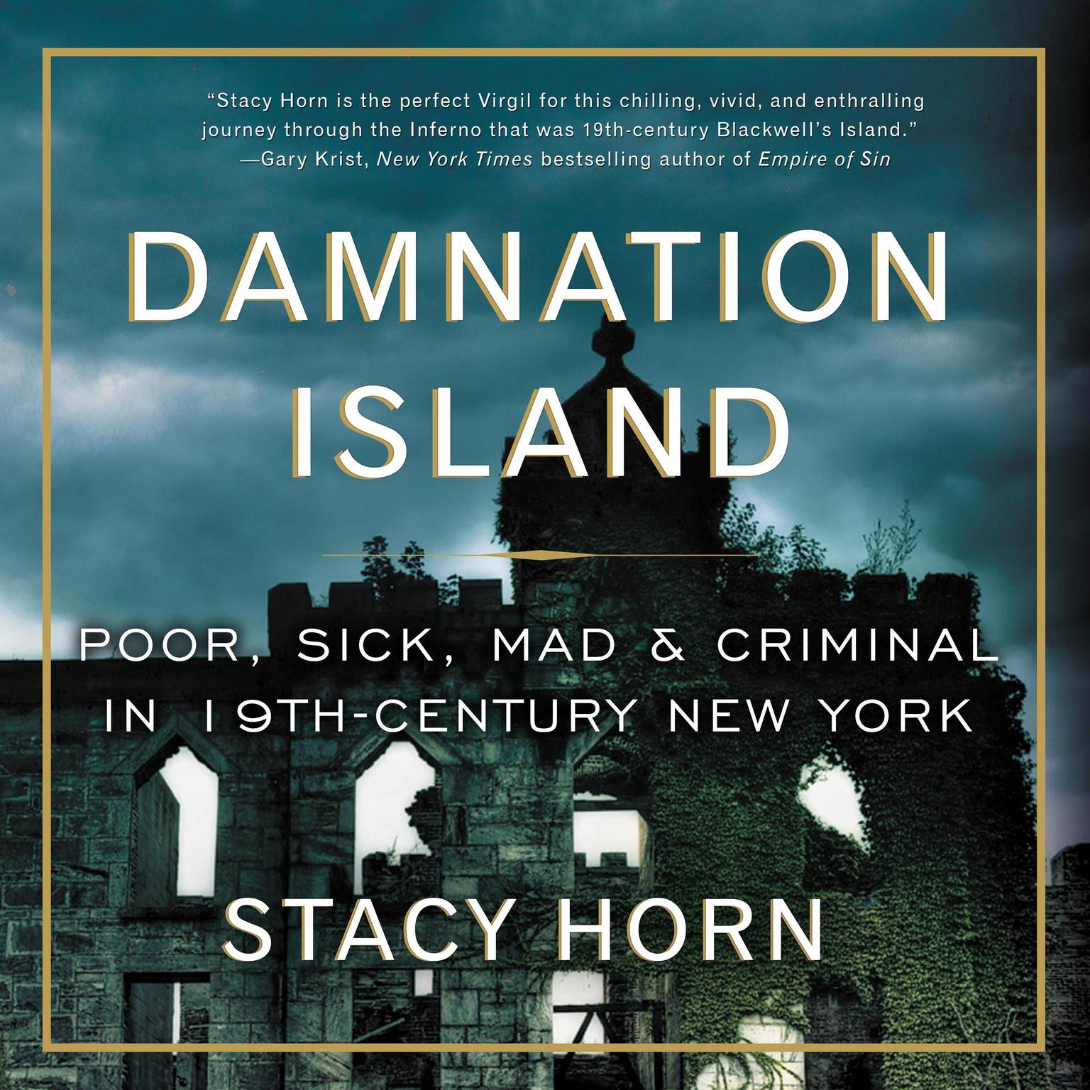 Damnation Island: Poor, Sick, Mad, and Criminal in 19th-Century New York Audiobook, by Stacy Horn