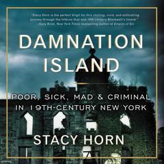 Damnation Island: Poor, Sick, Mad, and Criminal in 19th-Century New York Audiobook, by Stacy Horn
