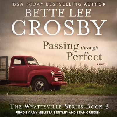 Passing through Perfect Audiobook, by Bette Lee Crosby