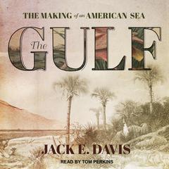 The Gulf: The Making of An American Sea Audiobook, by Jack E. Davis