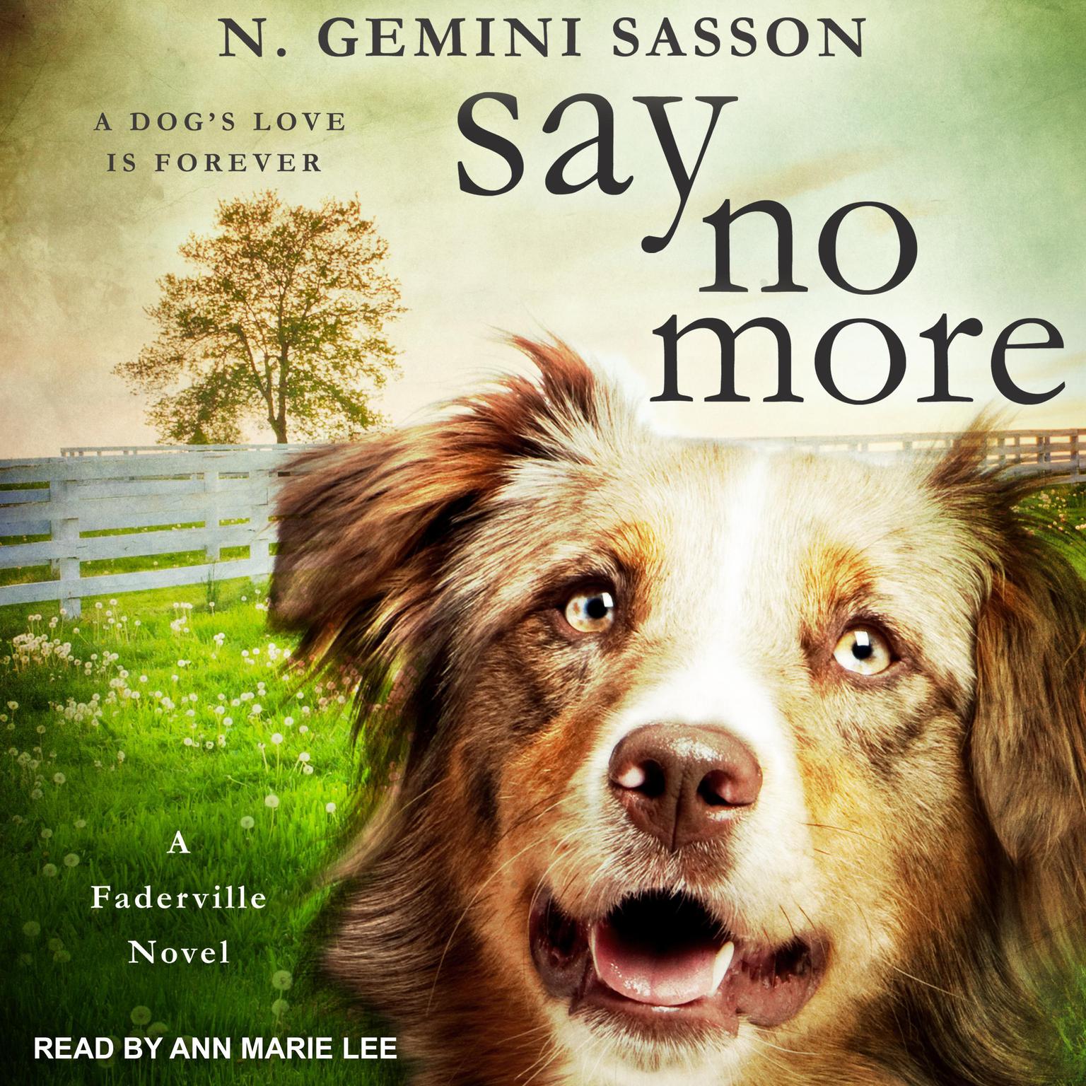 Say No More Audiobook, by N. Gemini Sasson
