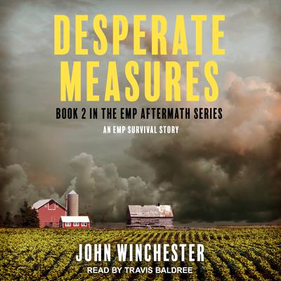 Desperate Measures: An EMP Survival Story Audiobook, by John Winchester