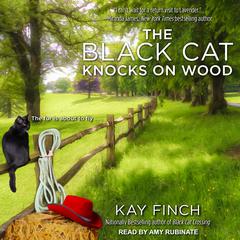 The Black Cat Knocks on Wood Audiobook, by Kay Finch