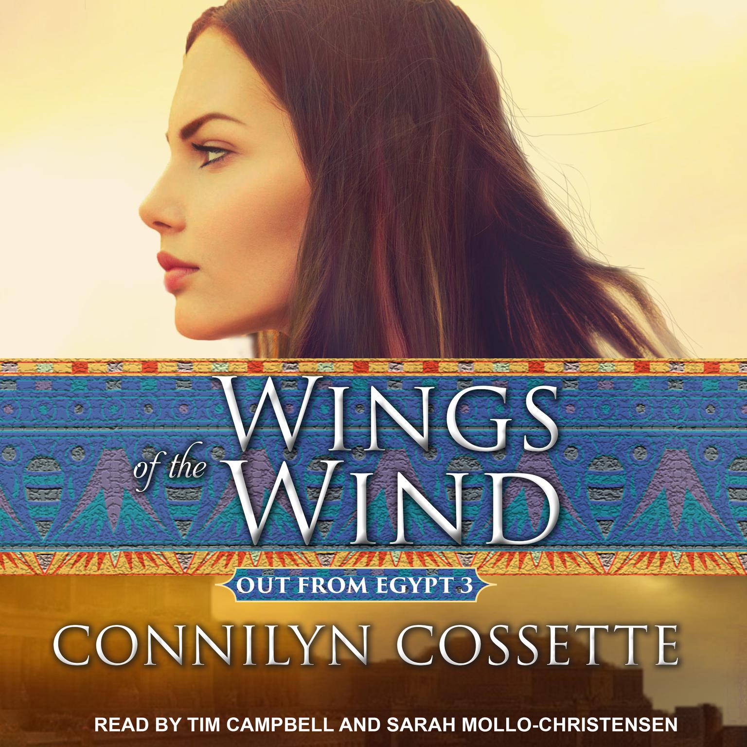Wings of the Wind Audiobook, by Connilyn Cossette