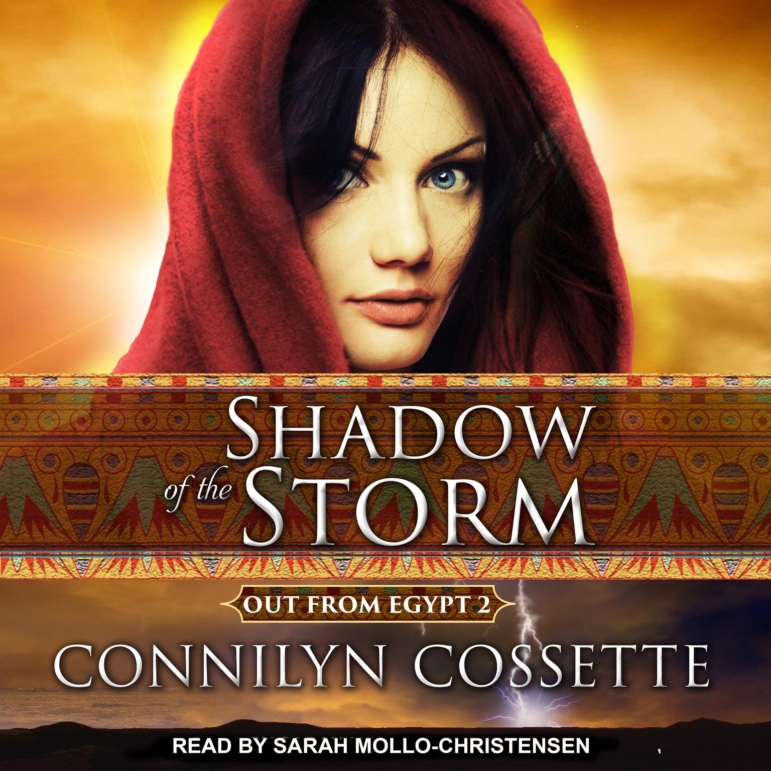 Shadow of the Storm Audiobook, by Connilyn Cossette