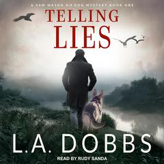 Telling Lies Audiobook, by 