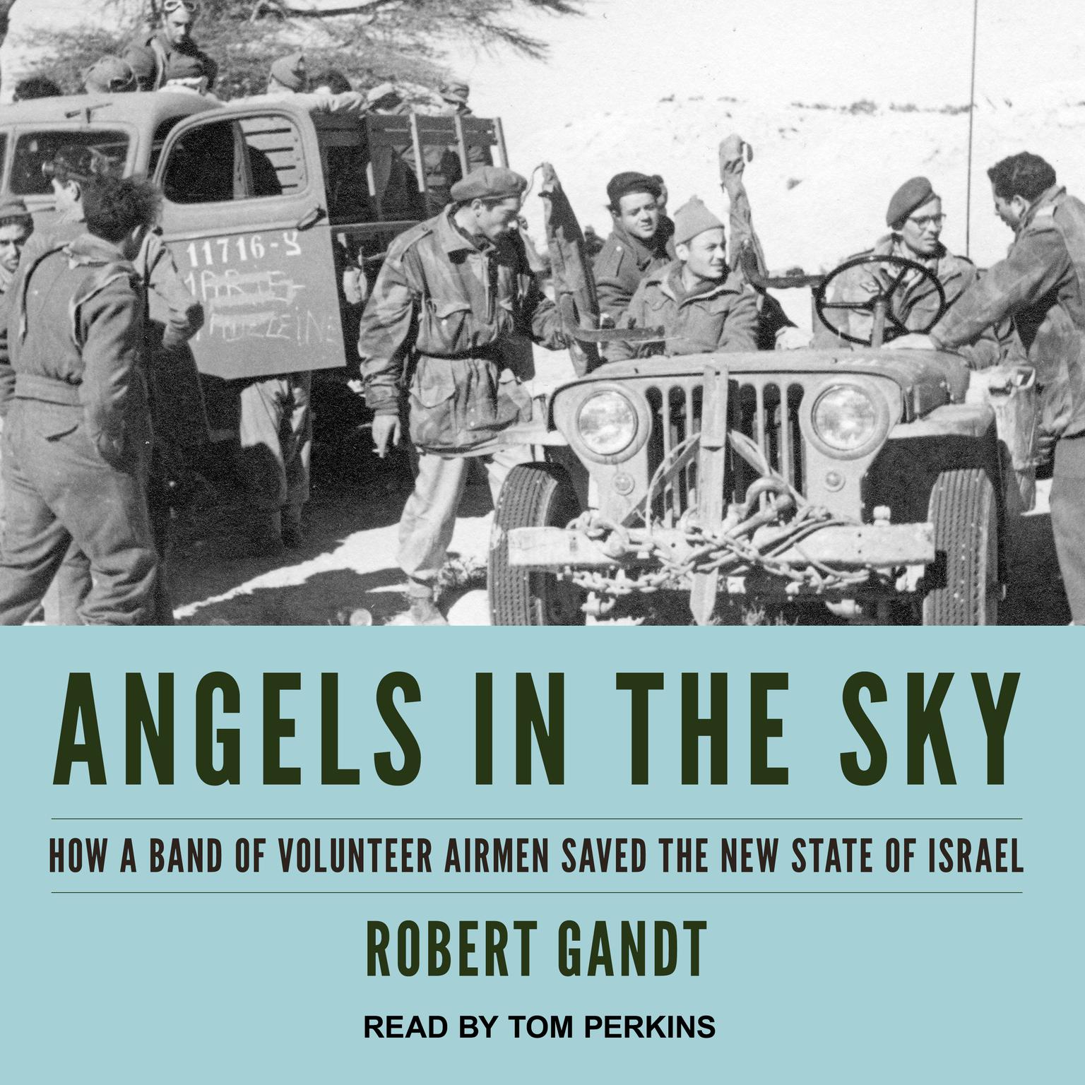 Angels in the Sky: How a Band of Volunteer Airmen Saved the New State of Israel Audiobook, by Robert Gandt