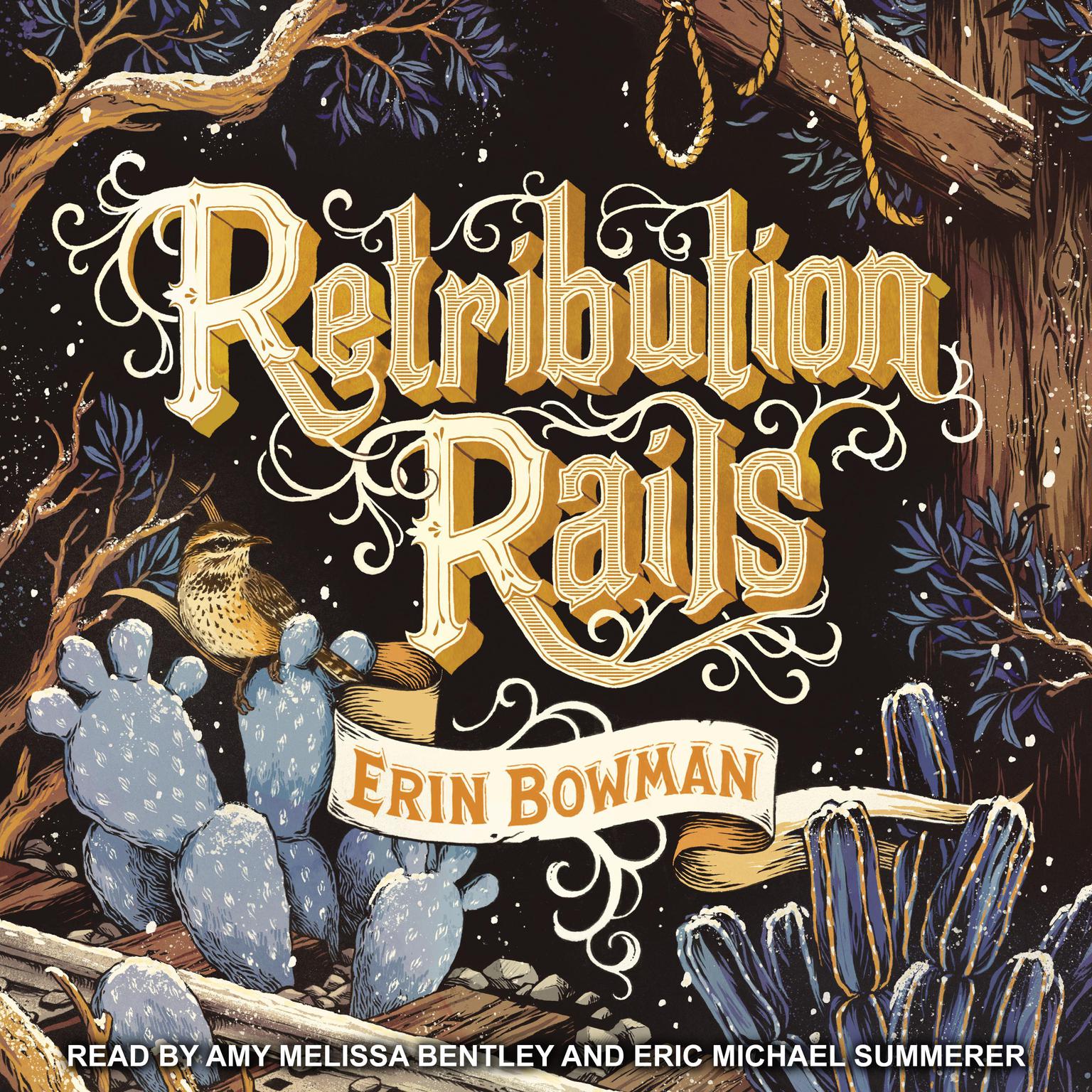 Retribution Rails Audiobook, by Erin Bowman
