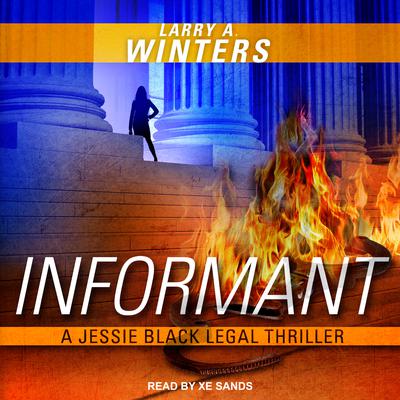 Informant Audiobook, by Larry A. Winters