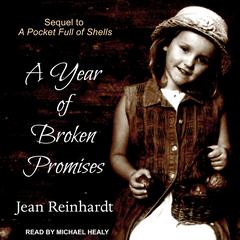 A Year of Broken Promises Audiobook, by Jean Reinhardt