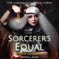 The Sorcerers Equal Audiobook, by Jaclyn Dolamore