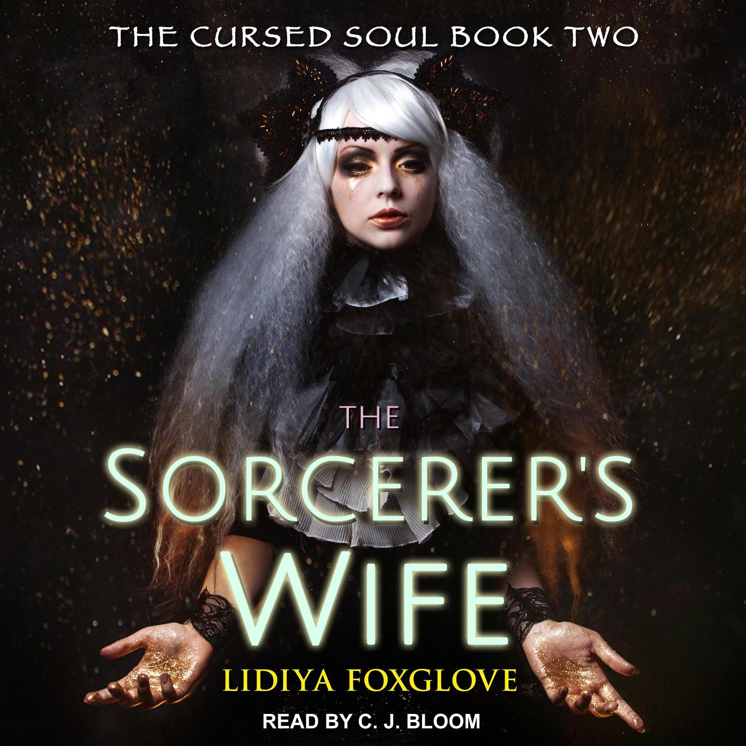 The Sorcerers Wife Audiobook, by Jaclyn Dolamore