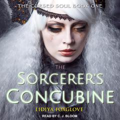 The Sorcerer's Concubine Audiobook, by Jaclyn Dolamore