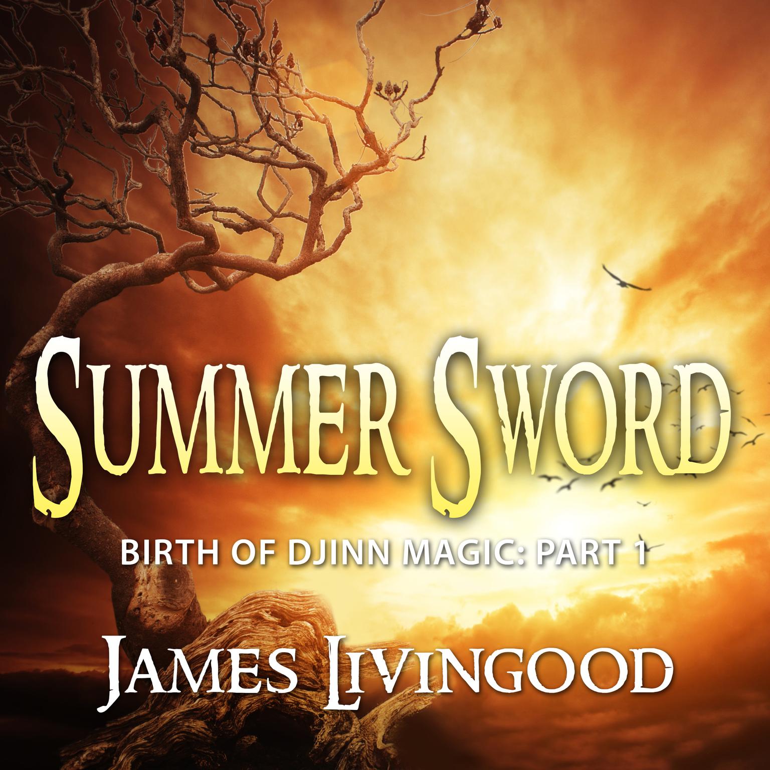 Summer Sword Audiobook, by James Livingood