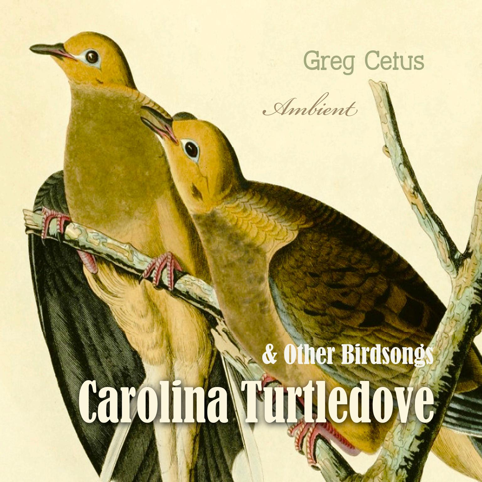 Carolina Turtledove and Other Birdsongs Audiobook, by Greg Cetus