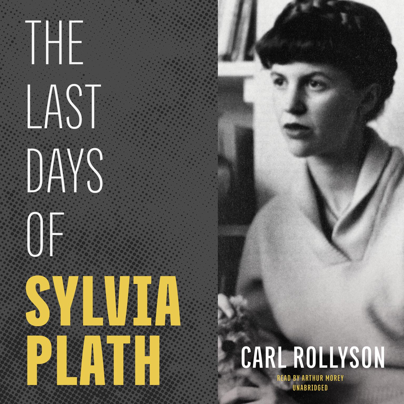 The Last Days of Sylvia Plath Audiobook, by Carl Rollyson