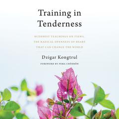 Training in Tenderness: Buddhist Teachings on Tsewa, the Radical Openness of Heart That Can Change the  World Audiobook, by 