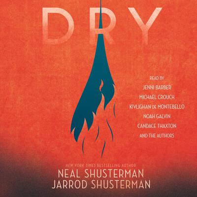 Dry Audiobook, by 