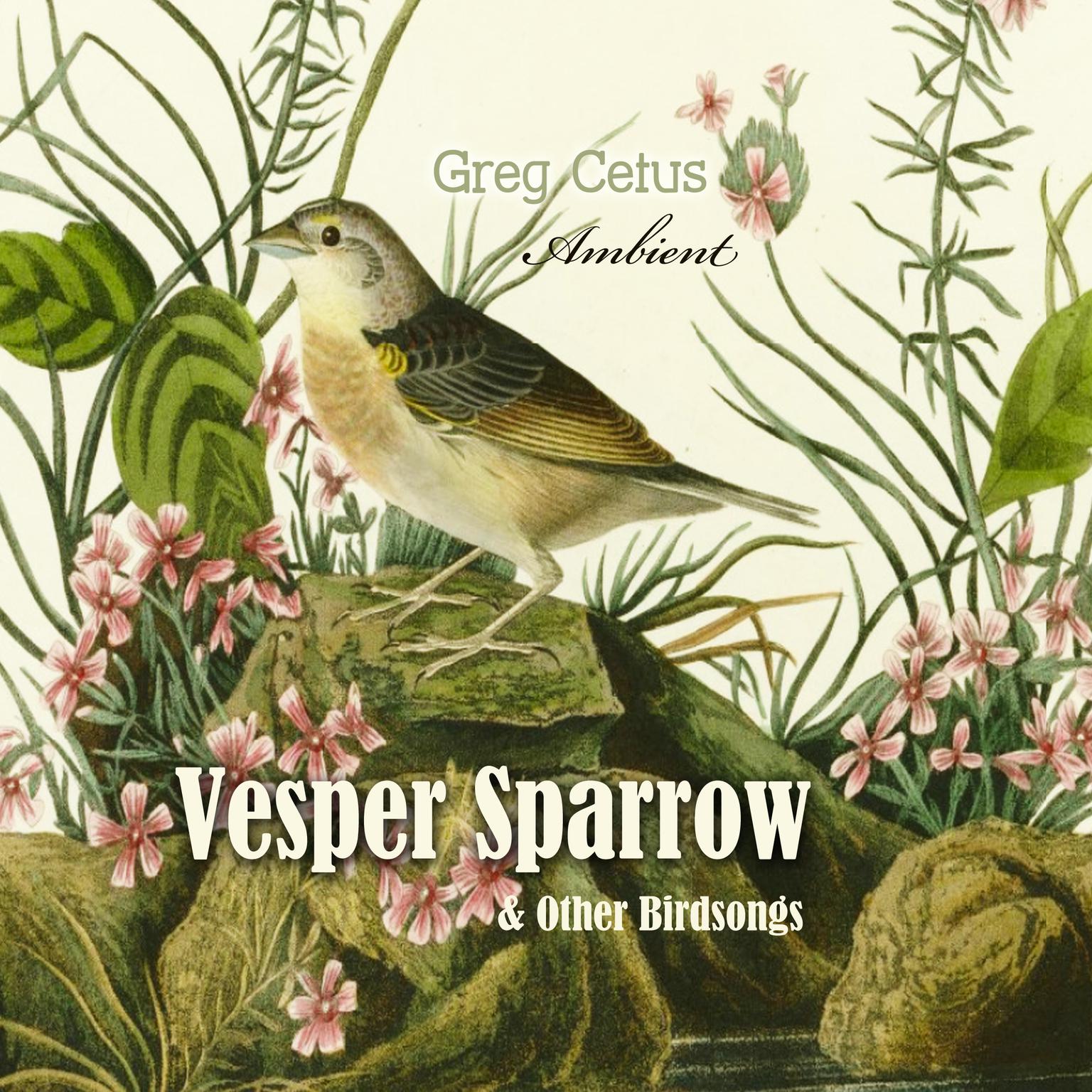 Vesper Sparrow and Other Bird Songs Audiobook, by Greg Cetus
