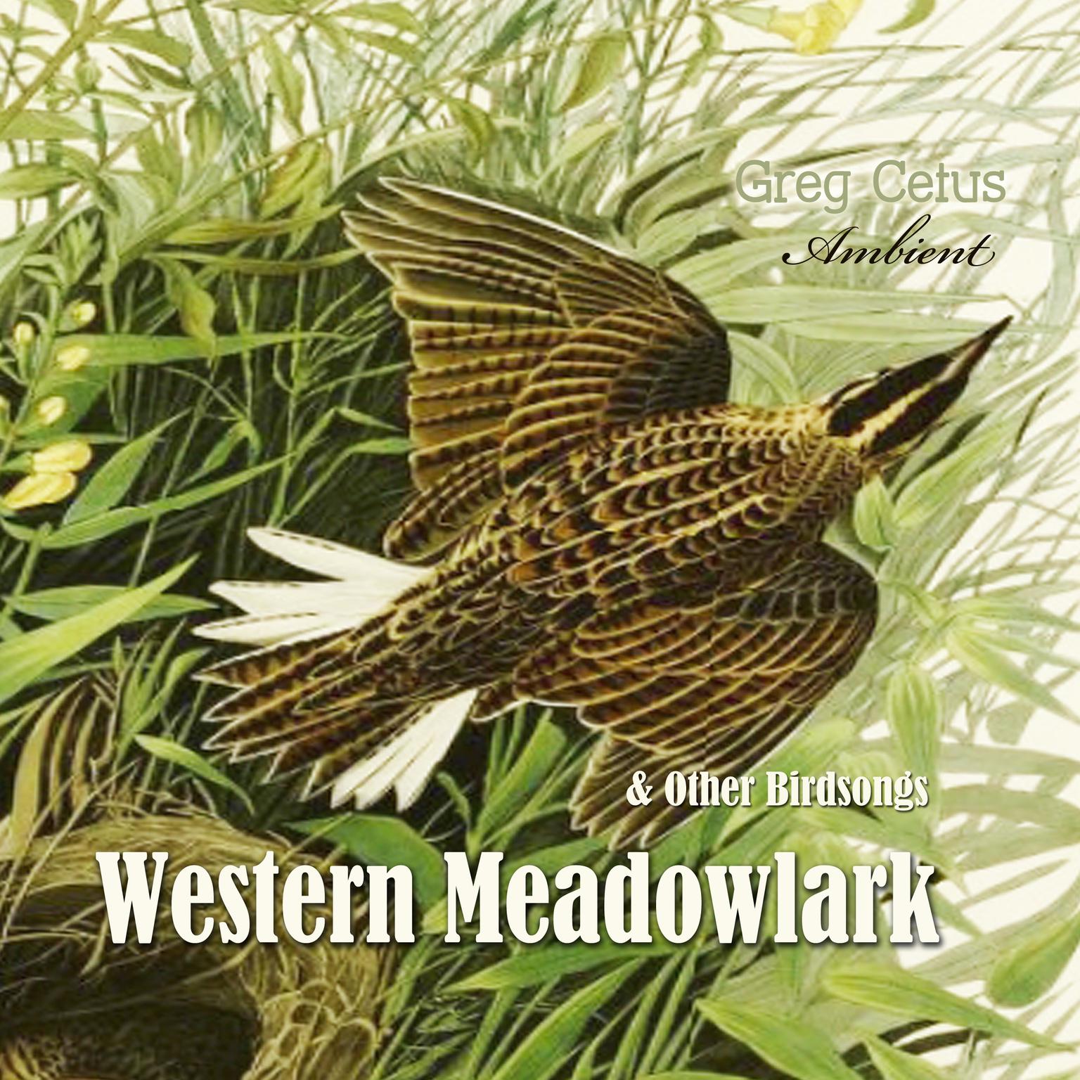 Western Meadowlark and Other Bird Songs Audiobook, by Greg Cetus