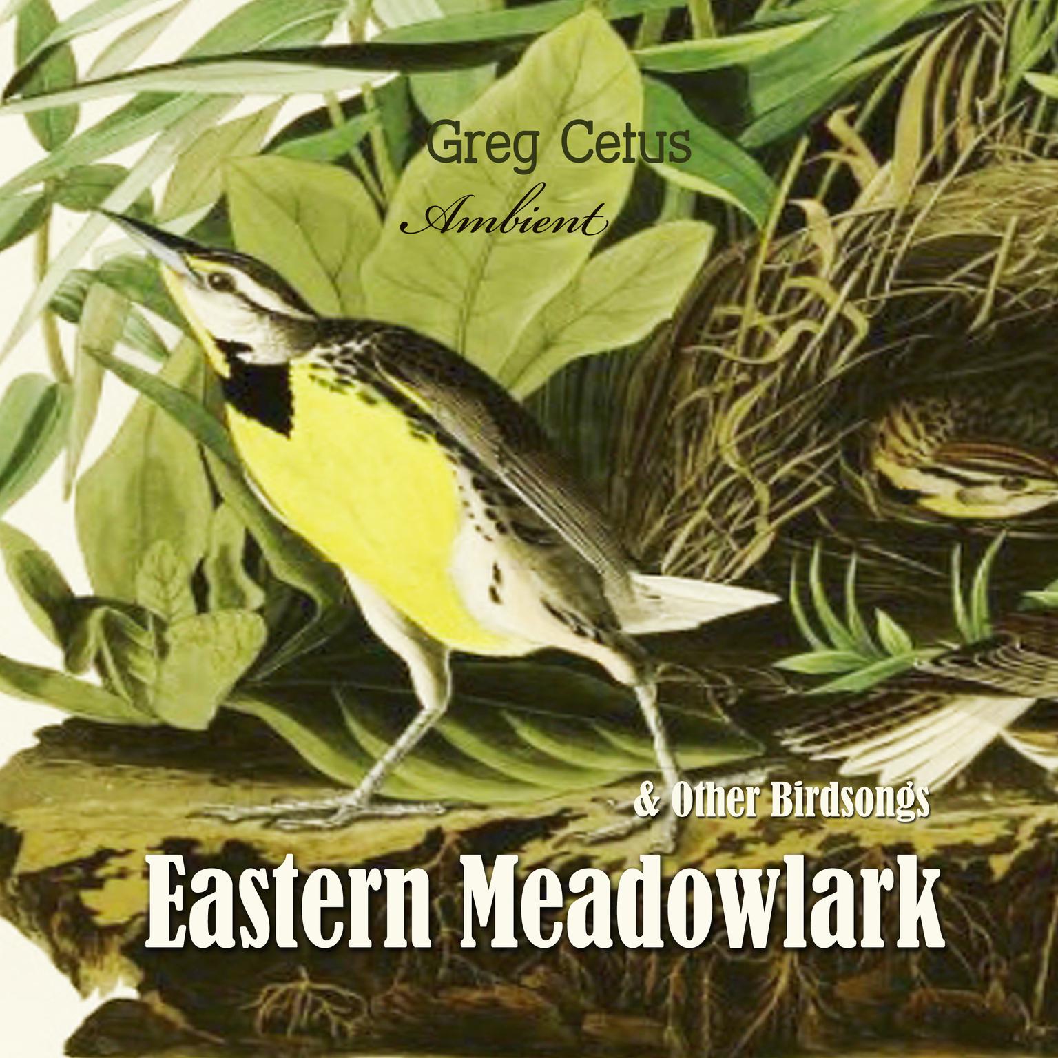 Eastern Meadowlark and Other Bird Songs Audiobook, by Greg Cetus