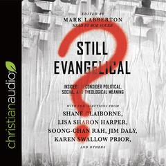 Still Evangelical?: Insiders Reconsider Political, Social, and Theological Meaning Audiobook, by Mark Labberton
