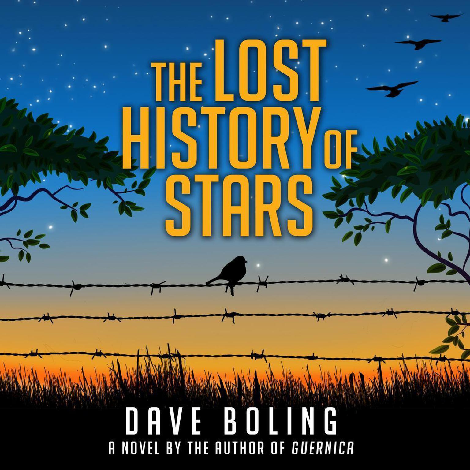 The Lost History of Stars: A Novel Audiobook, by Dave Boling