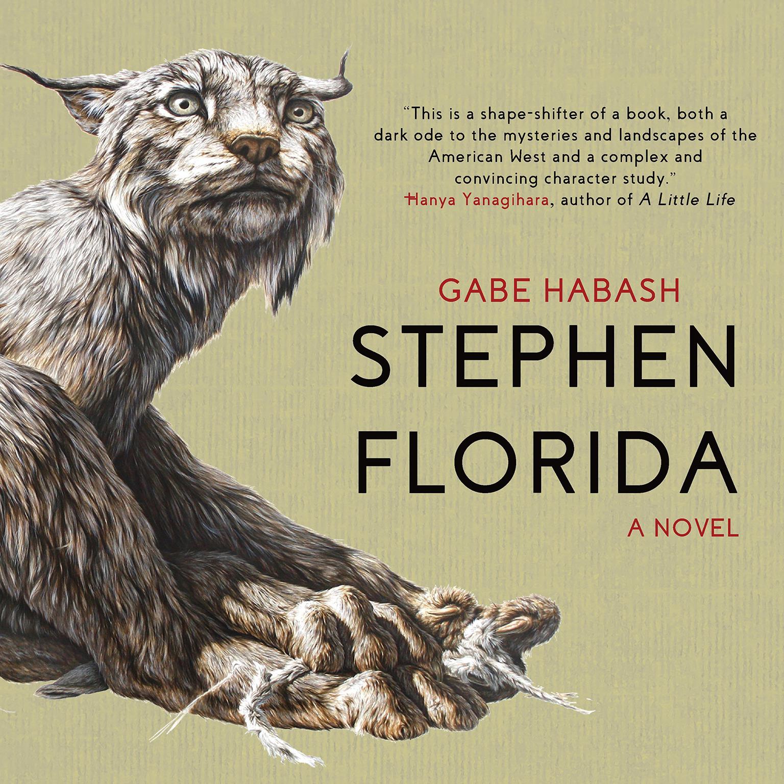 Stephen Florida Audiobook, by Gabe Habash
