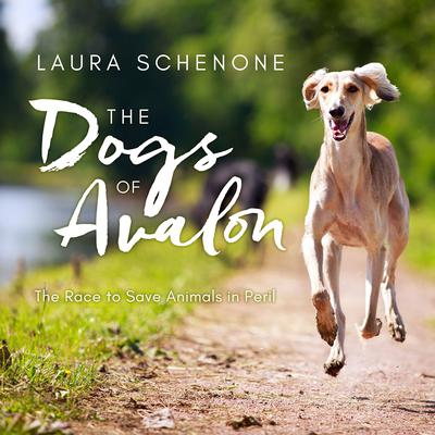 The Dogs of Avalon: The Race to Save Animals in Peril Audiobook, by Laura Schenone