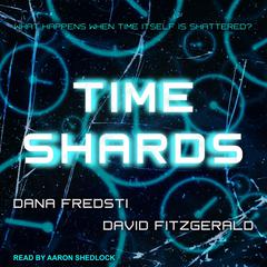 Time Shards Audiobook, by David Fitzgerald