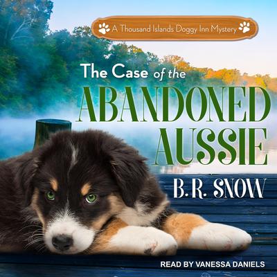 The Case of the Abandoned Aussie Audiobook, by B.R. Snow