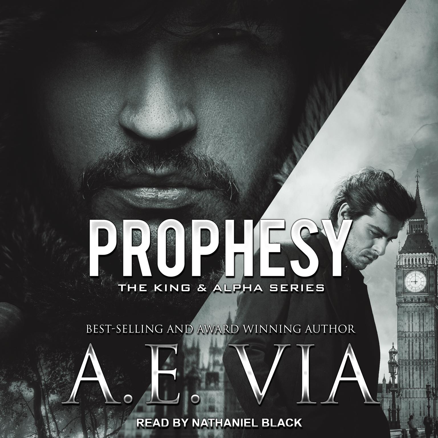 Prophesy Audiobook, by A.E. Via