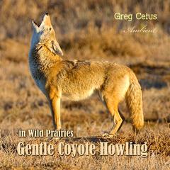 Gentle Coyote Howling in Wild Prairies Audiobook, by Greg Cetus