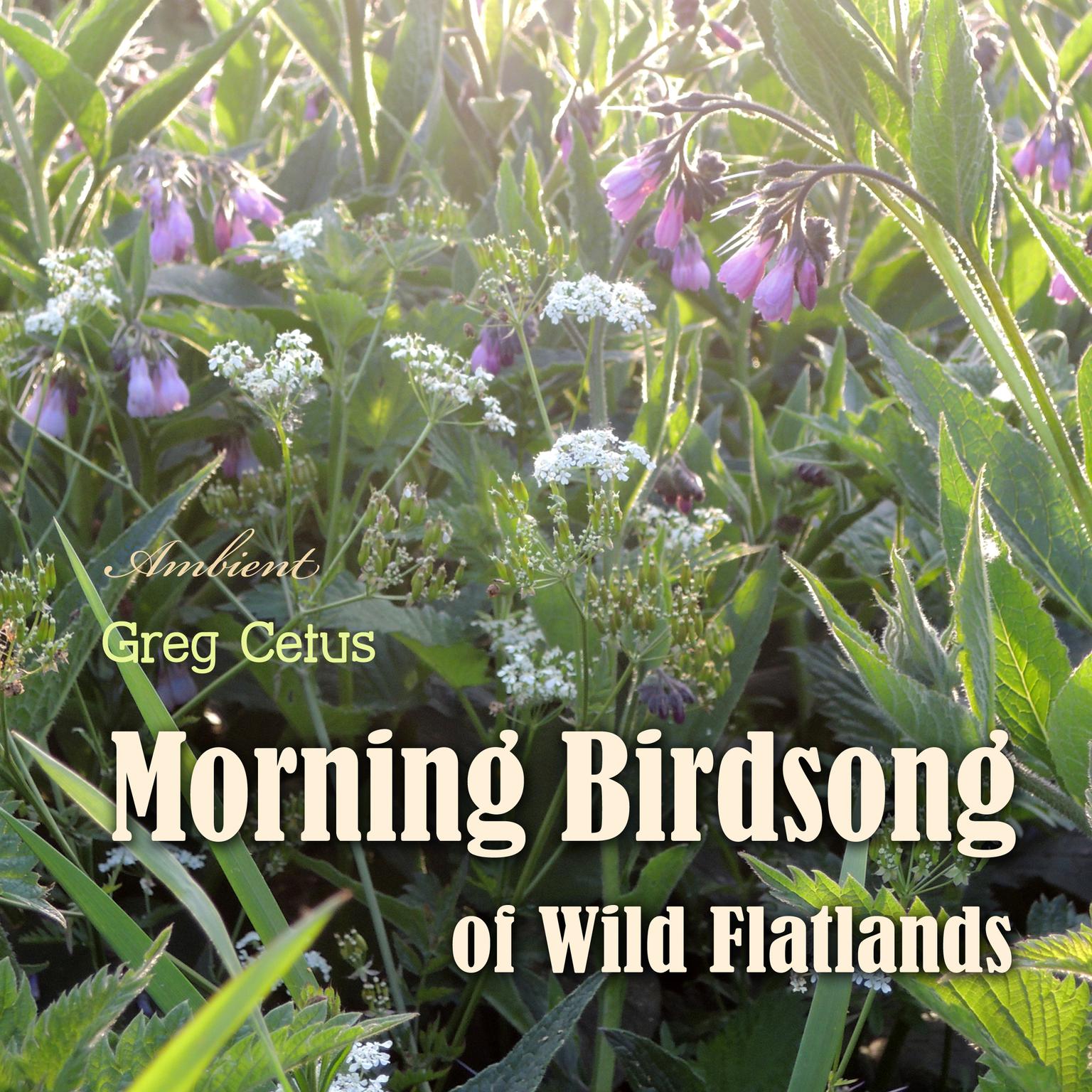 Morning Birdsong of Wild Flatlands Audiobook, by Greg Cetus