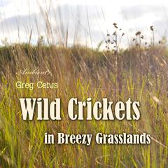 Wild Crickets in Breezy Grasslands Audiobook, by Greg Cetus