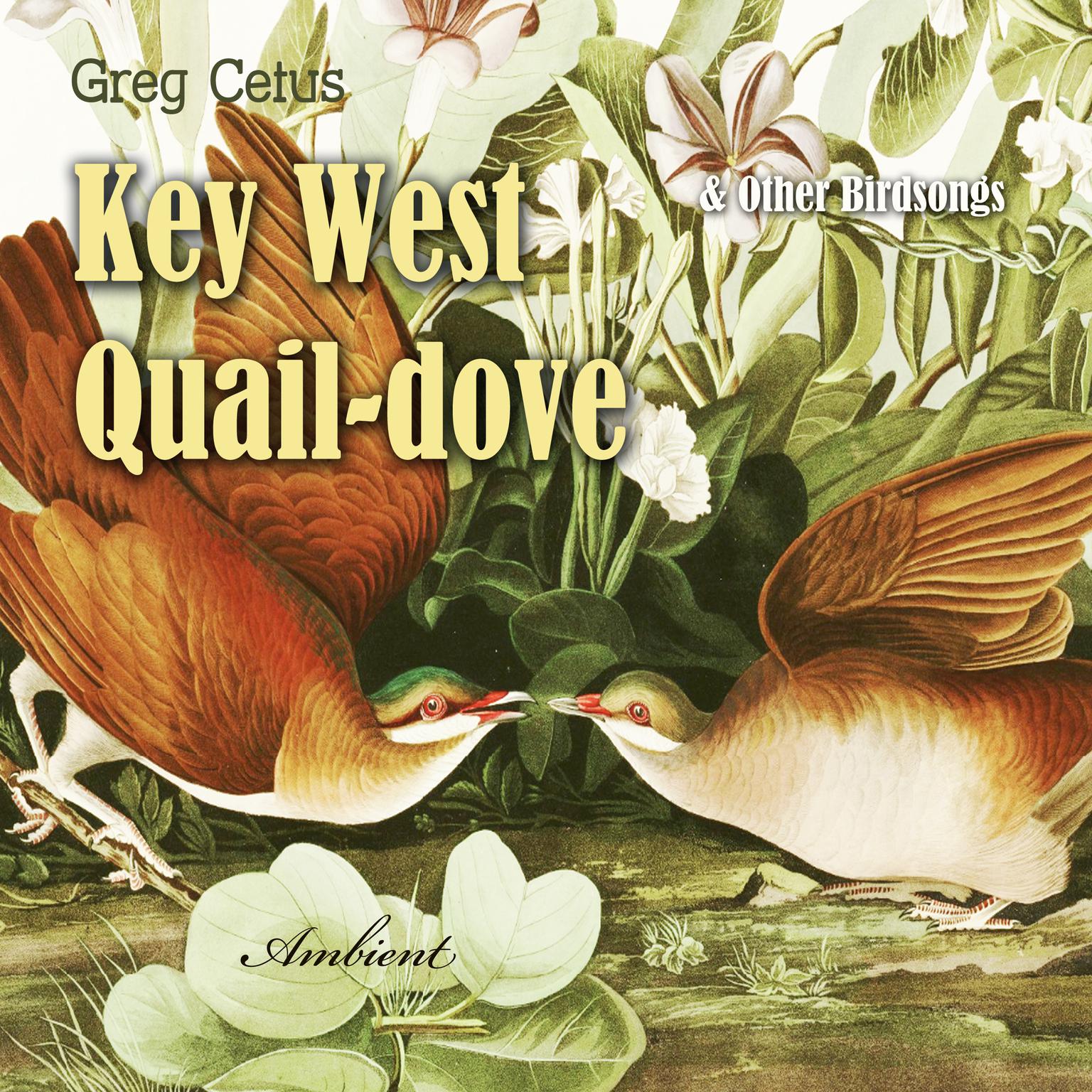 Key West Quail-dove and Other Birdsongs Audiobook, by Greg Cetus