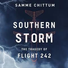 Southern Storm: The Tragedy of Flight 242 Audiobook, by Samme Chittum