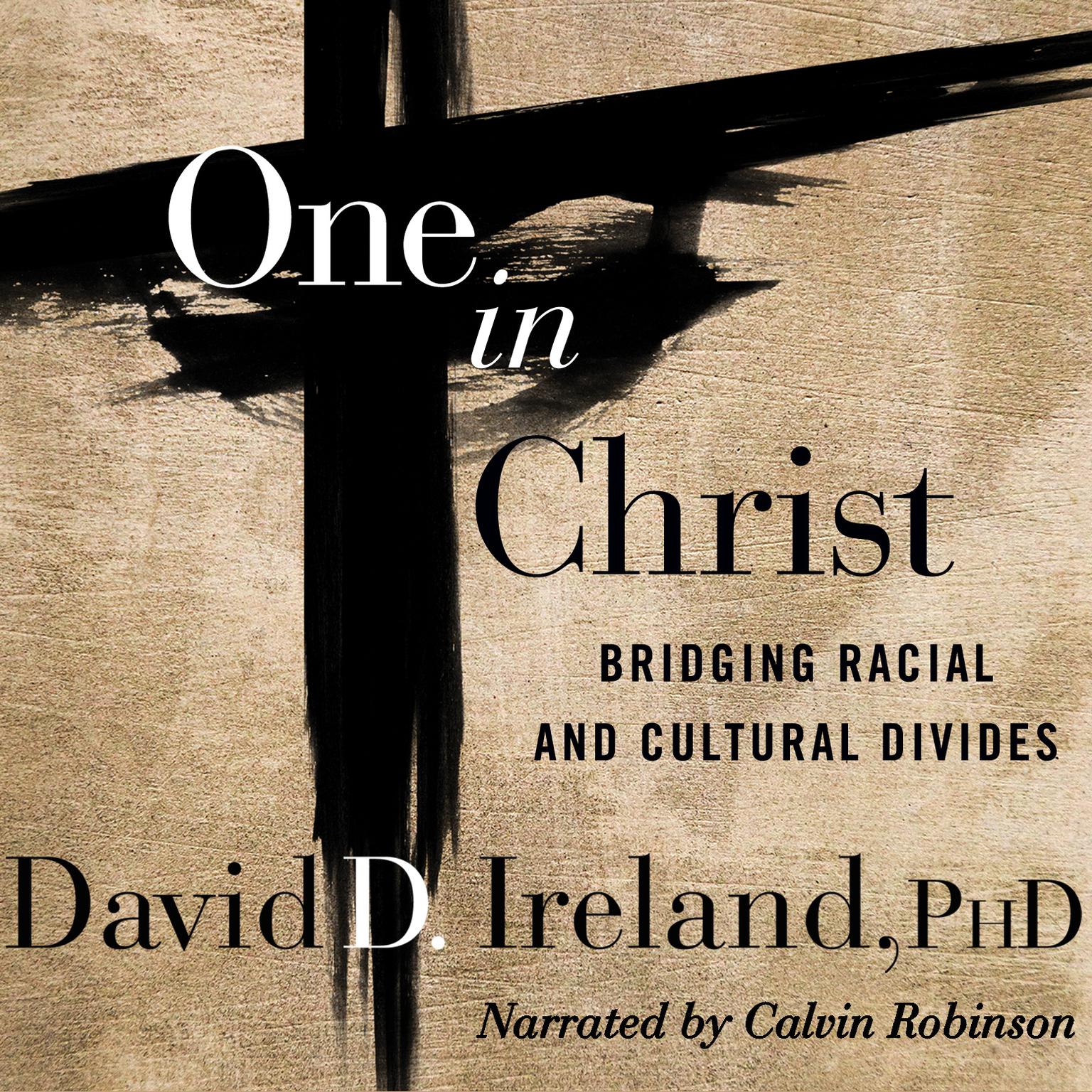 One in Christ: Bridging Racial & Cultural Divides Audiobook, by David D. Ireland
