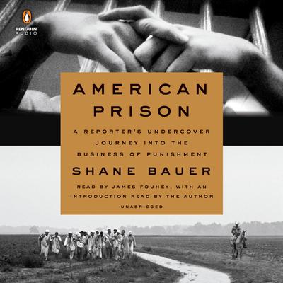 American Prison: A Reporters Undercover Journey into the Business of Punishment Audiobook, by Shane Bauer